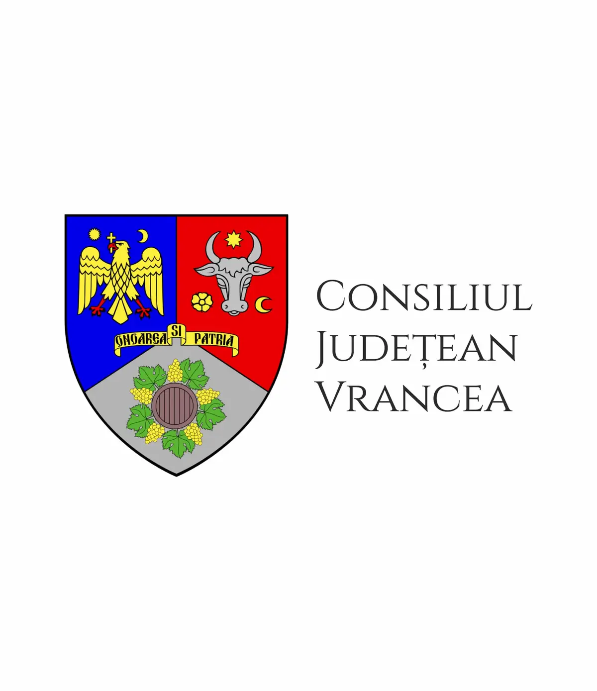 Consiliul Județean Vrancea